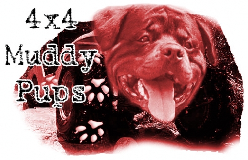 Muddy Pups
